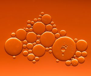 orange cells under microscope