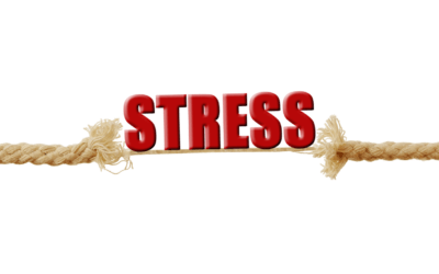 Emotions, Food, Breast Cancer – PART II STRESS & GUILT