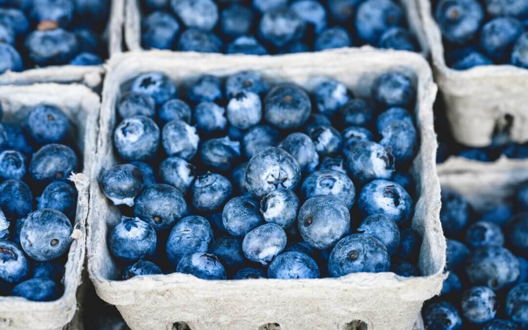 Eat The Dang Blueberries